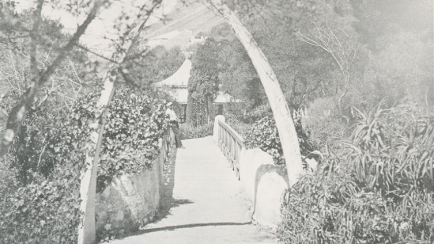 Bridge in Alameda With Whale Bone